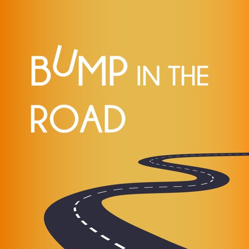 Cover art for podcast BumpInTheRoad