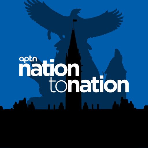 Cover art for podcast Nation to Nation