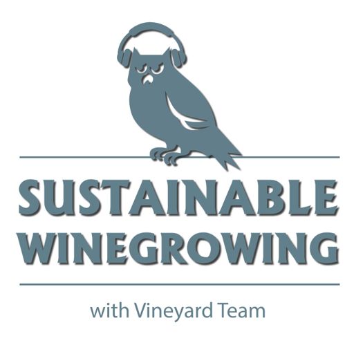 Cover art for podcast Sustainable Winegrowing with Vineyard Team