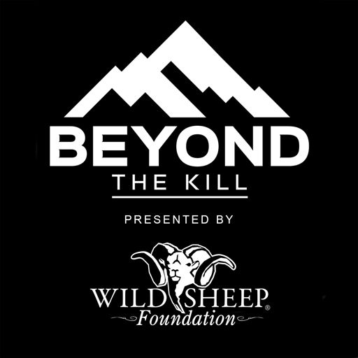 Cover art for podcast Beyond the Kill