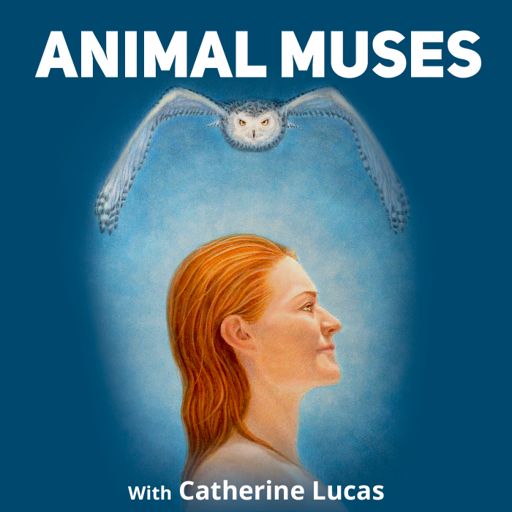 Cover art for podcast Animal Muses with Catherine Lucas