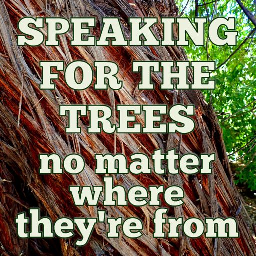 Cover art for podcast Speaking for the Trees, No Matter Where They're From