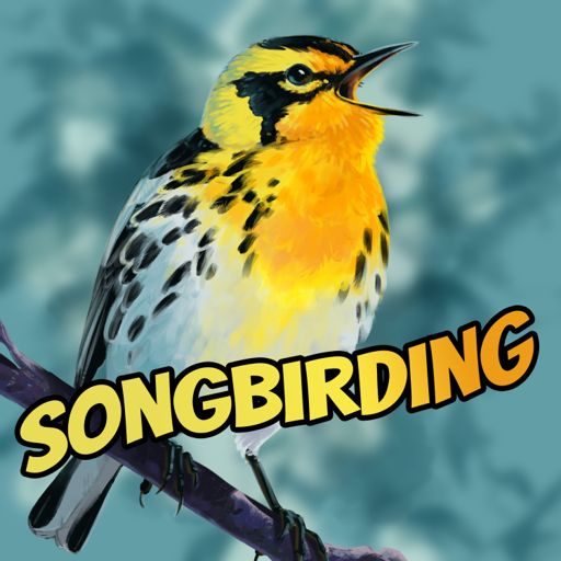 Cover art for podcast Songbirding: A Birding-by-ear Podcast