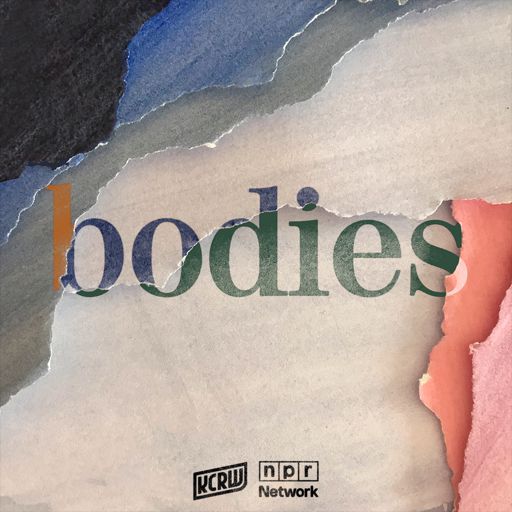 Cover art for podcast Bodies